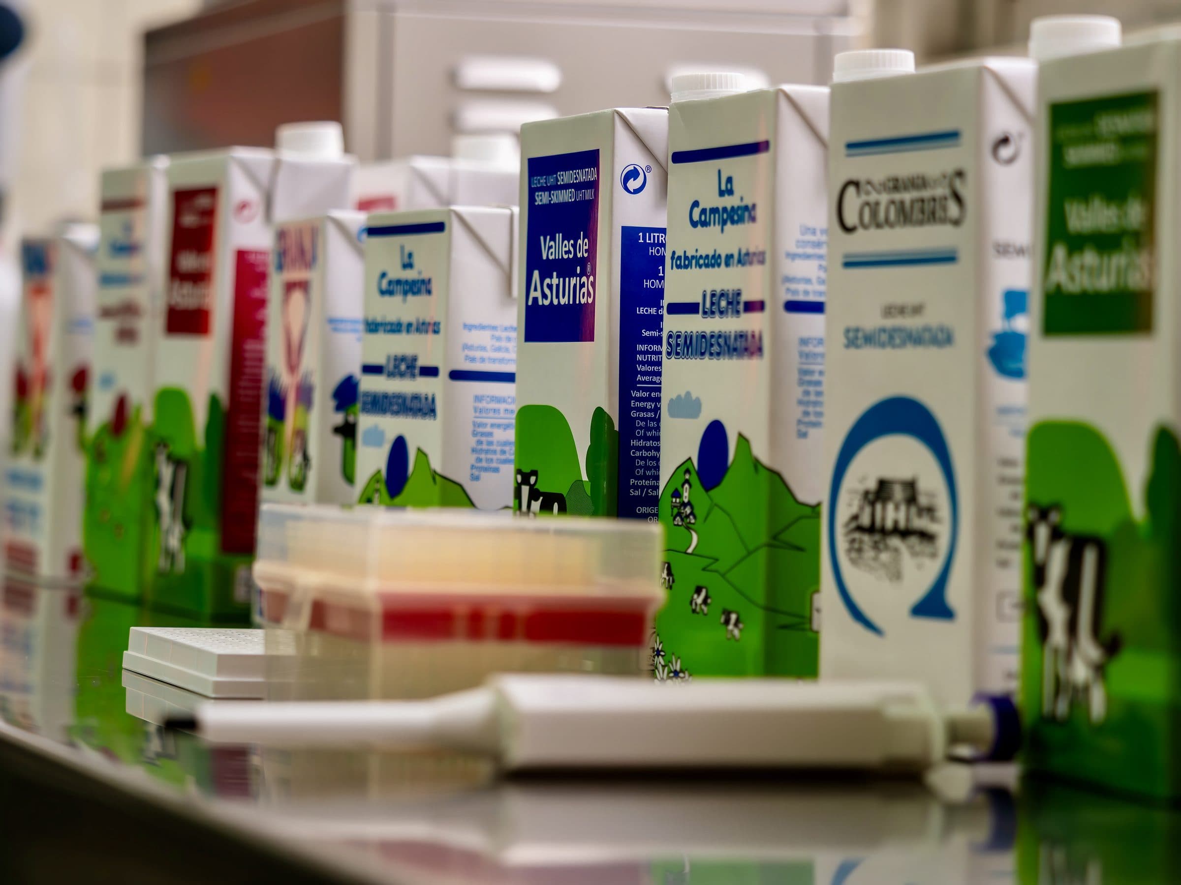 Cartones de leche terminados de varias marcas avanzando uno tras otro por una misma línea de producción en la planta de Lactavisa en Avilés.