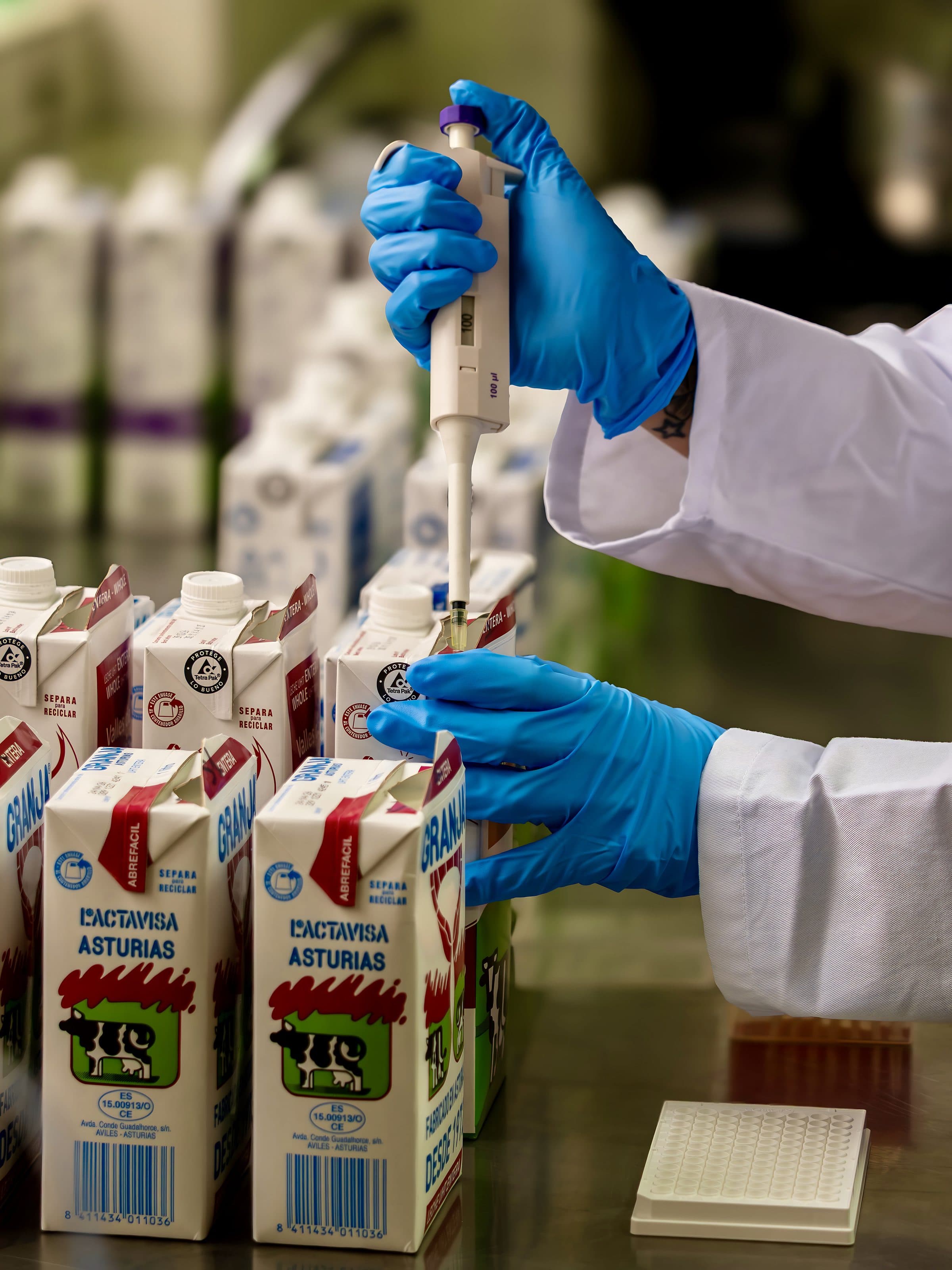 A gloved technician pipettes a sample from an opened, finished carton of milk into an assay plate, with cartons of several Lactavisa brands lined up on the laboratory bench.