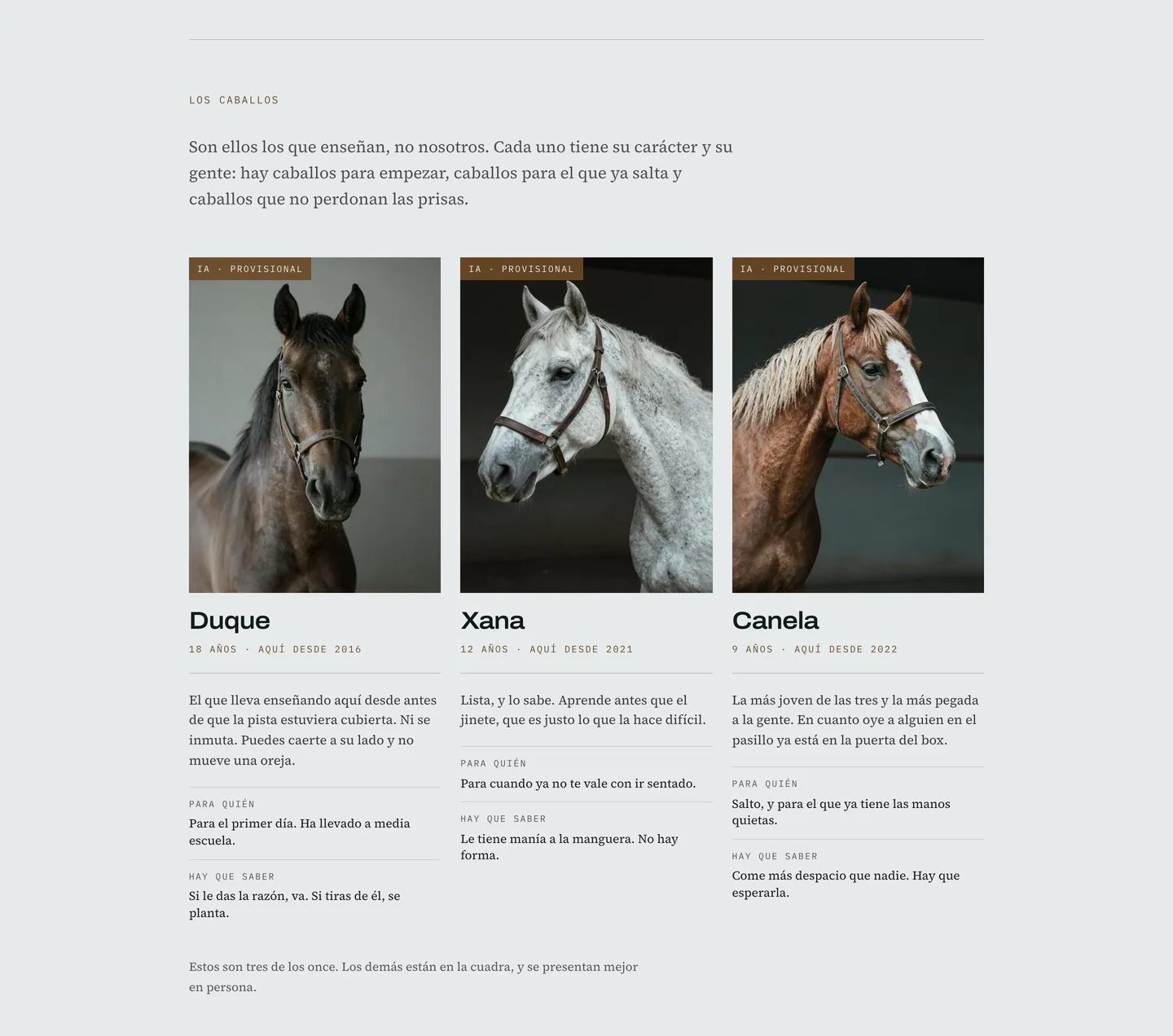 Los protagonistas: una ficha por caballo de escuela —cómo es, para quién y lo que hay que saber—, la sección que el sector entero se salta. Los nombres y los caracteres son un concepto; la fotografía va marcada «IA · provisional» hasta el día de la sesión.